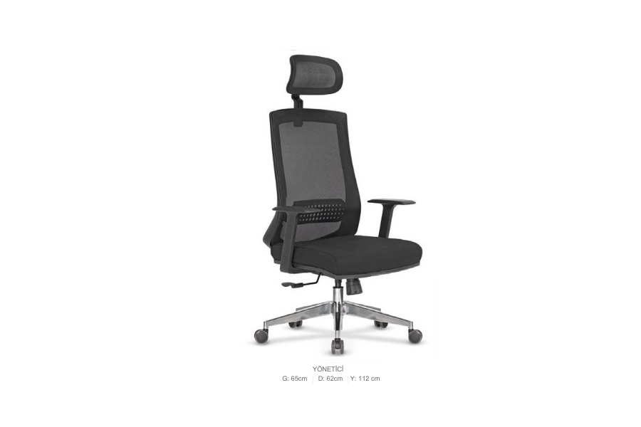 Yönetici ve Çalışma Koltukları
