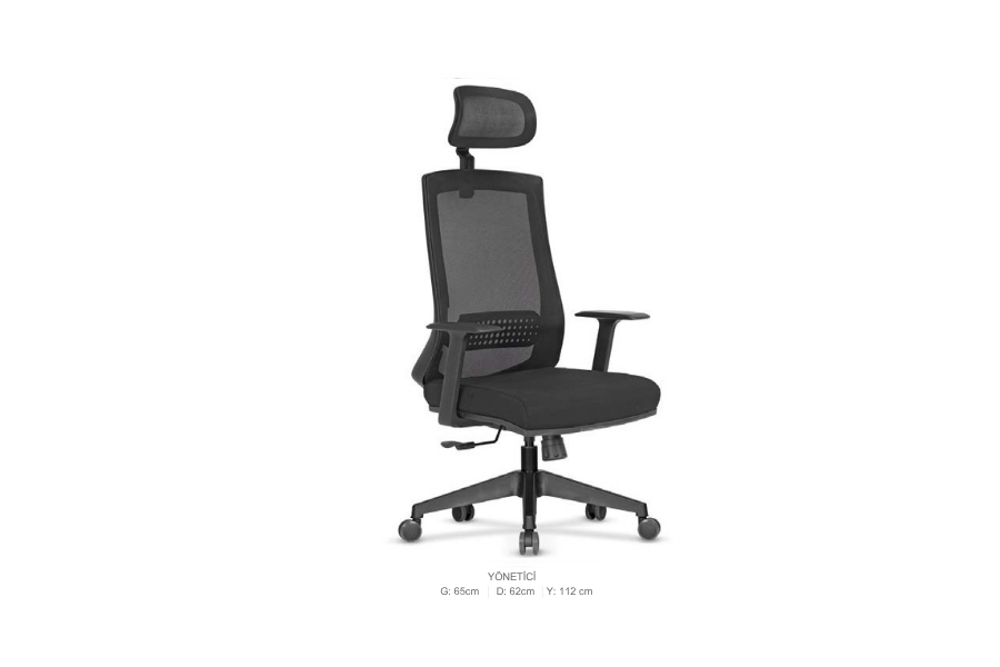 Yönetici ve Çalışma Koltukları